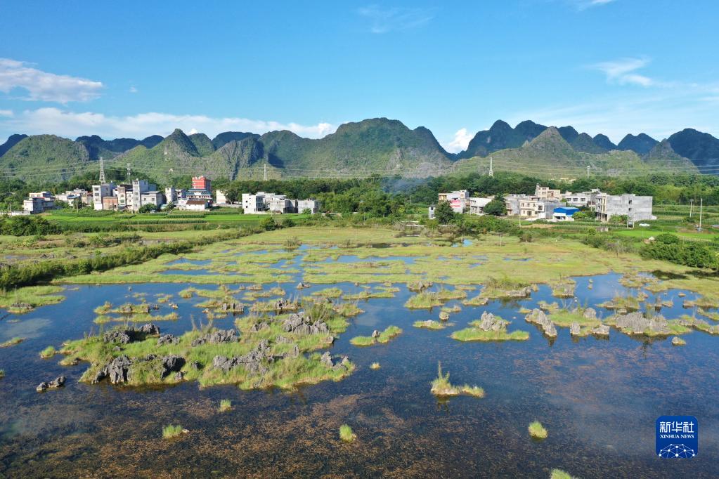 廣西都安：濕地景色美