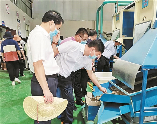 貴港：延伸産業鏈條 打造産業集群