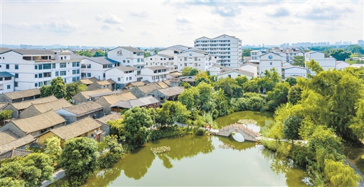 南寧：感恩奮進強首府