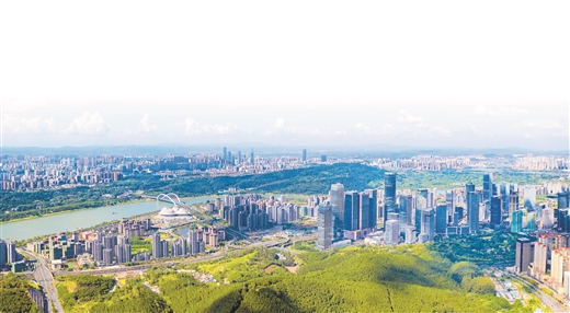 南寧：感恩奮進強首府