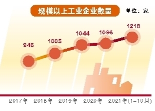 南寧：感恩奮進強首府