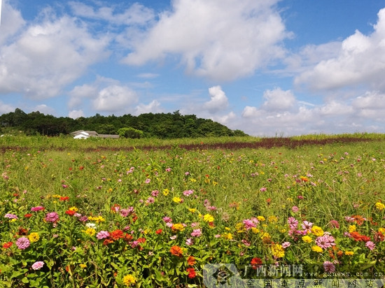 南寧邕寧區：鞏固“兩山”成果 衛天藍水凈