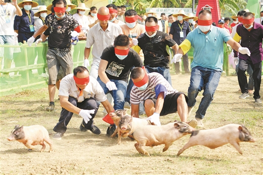 廣西靈川：稻香魚肥慶豐年