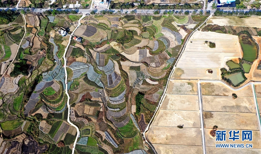 廣西河池：田園綜合體 新年蘊生機