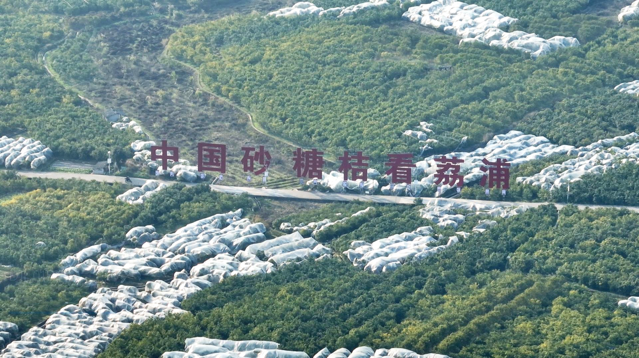 碧水青山荔江灣_fororder_圖片40