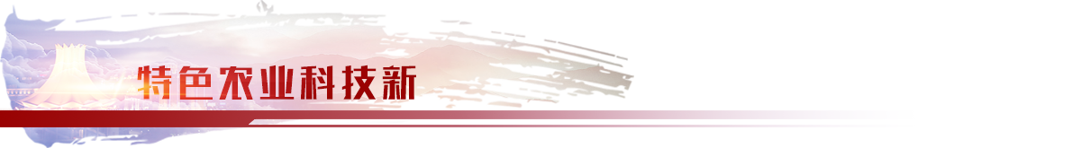 特色農業科技新banner_fororder_特色農業科技新1200×165