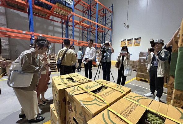 【中外媒體看通道】外媒關注熱點：RCEP背景下南寧如何通過陸海新通道讓市民樂享“榴蓮自由”？