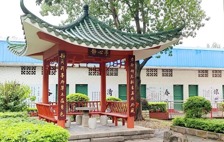 廣西柳州：黨建引領聚合力 軍休服務“零距離”_fororder_圖片3