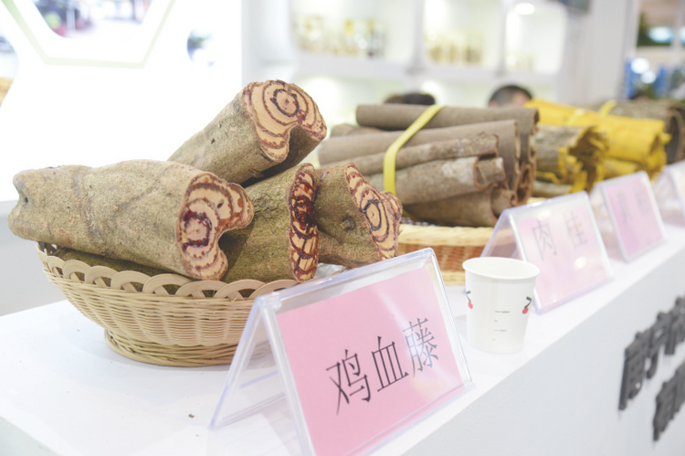 南寧市中藥材種植示範基地授牌