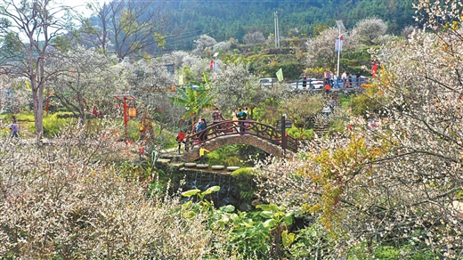 南寧今年將舉辦25個以上文化旅遊節活動