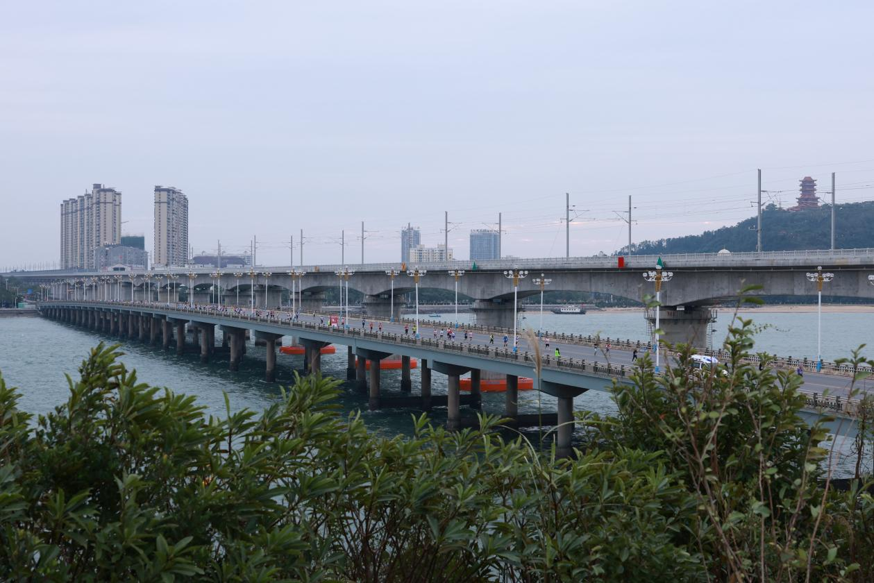 2023中國—東盟馬拉松成功舉辦 1.8萬名中外選手在防城港盡情奔跑_fororder_圖片4