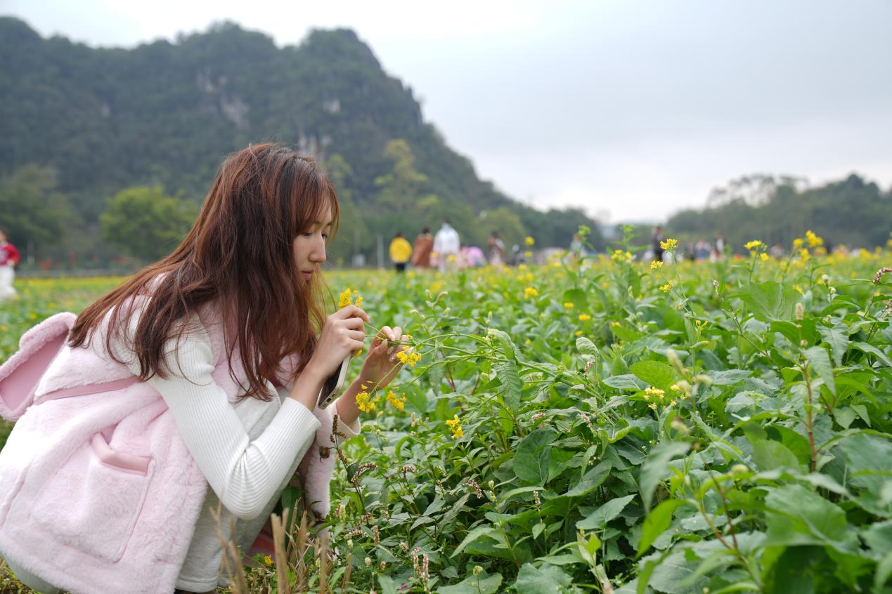 廣西興業縣打造鄉村旅遊“興”名片_fororder_圖片4