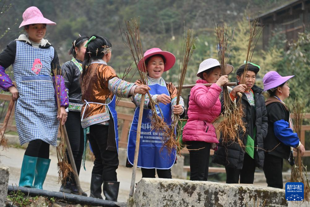 他們堅持每年種樹 守護綠水青山