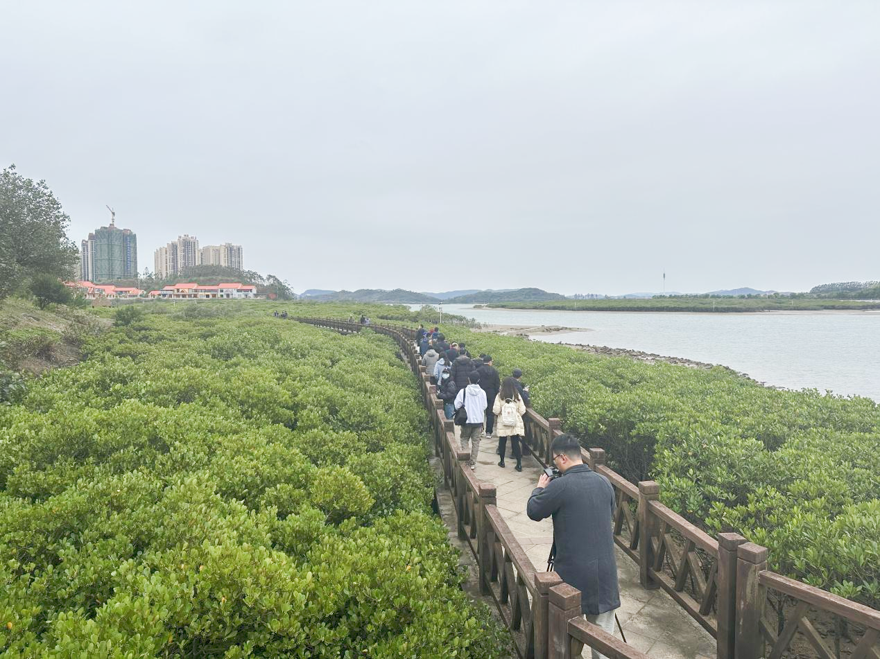 廣西防城港人大積極發揮立法作用 守護美麗生態海堤_fororder_圖片1