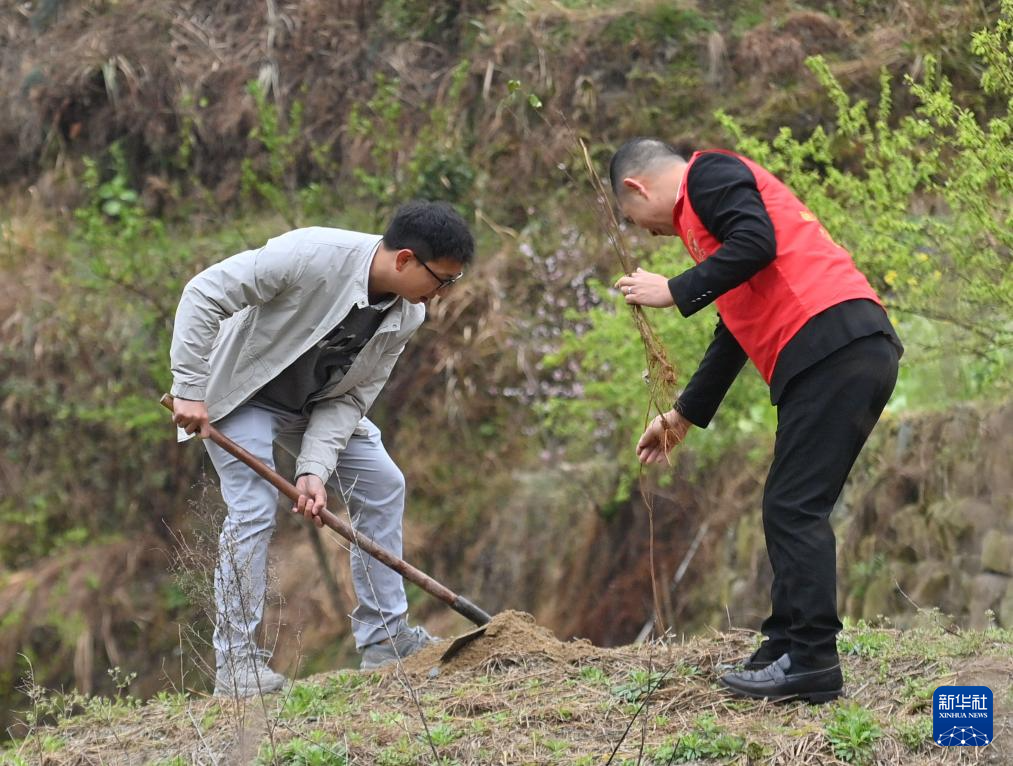 他們堅持每年種樹 守護綠水青山