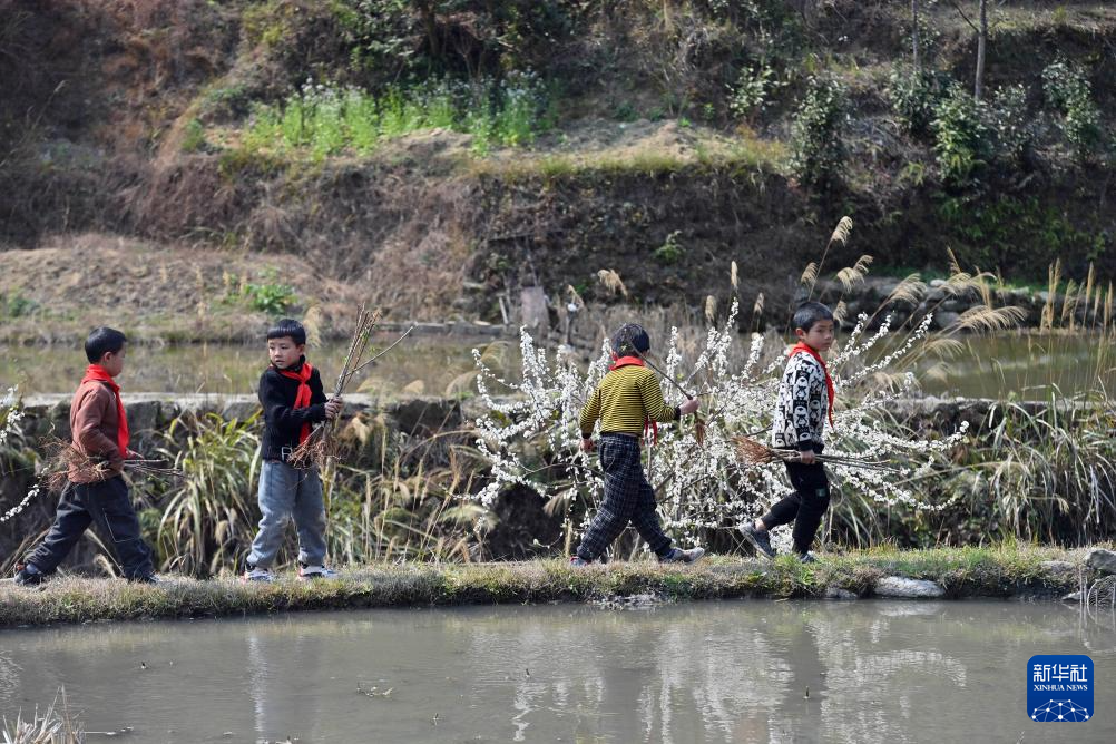 他們堅持每年種樹 守護綠水青山