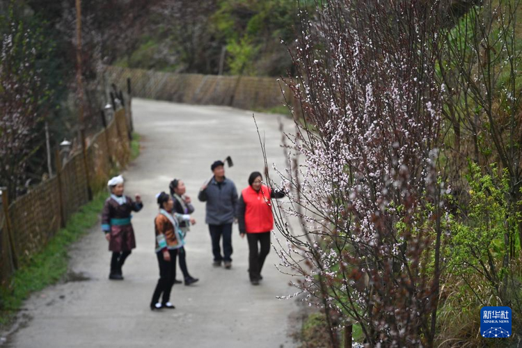 他們堅持每年種樹 守護綠水青山