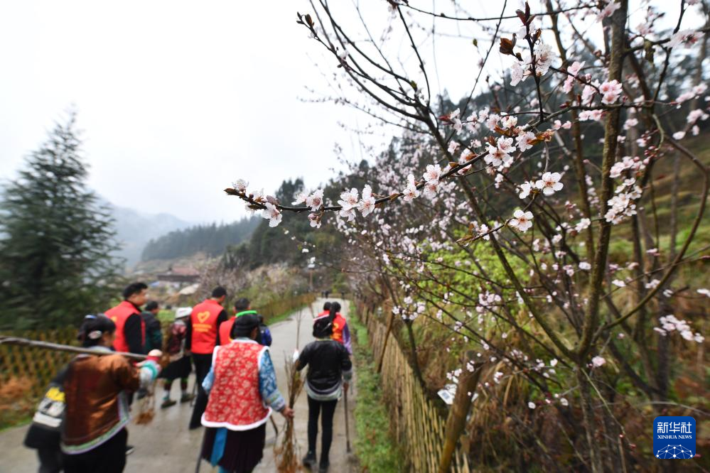 他們堅持每年種樹 守護綠水青山