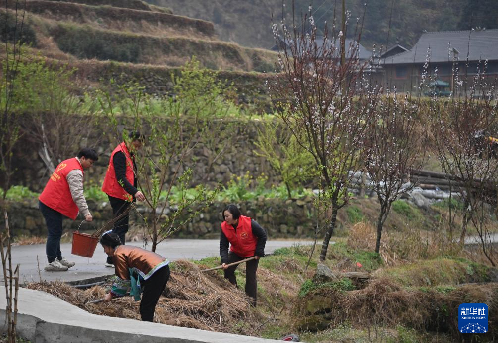他們堅持每年種樹 守護綠水青山