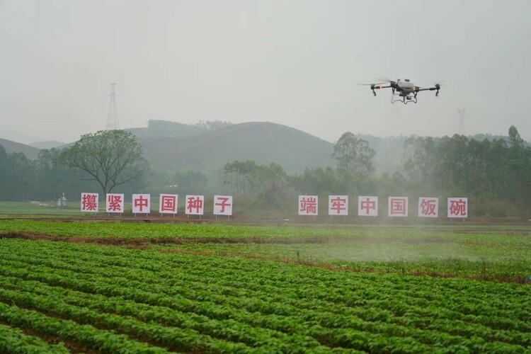 百萬農機鬧春耕 2024年全國“農機3·15”活動在廣西博白啟動_fororder_mmexport1710551790036