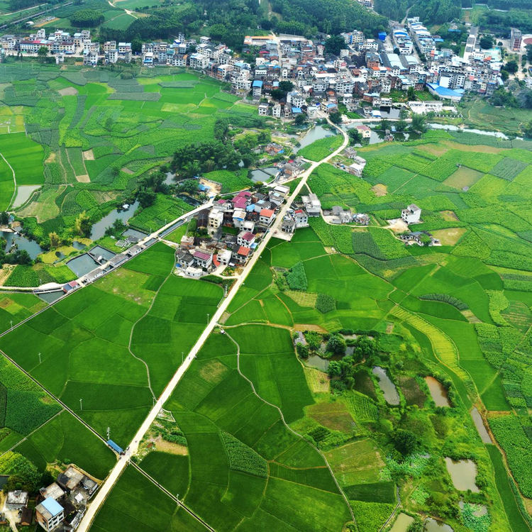 廣西7地入選“四好農村路”全國示範縣_fororder_圖片2