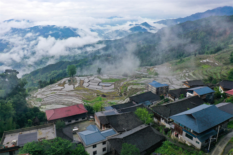廣西龍勝：和美鄉村 夏景如畫_fororder_5月12日，在廣西桂林市龍勝各族自治縣泗水鄉小岩底苗寨拍攝的梯田和民居。 (2).JPG