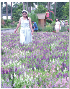 南寧五大公園推出“公園20分鐘效應”體驗套餐 青草綠樹鳥語花香 靜享“浮生半日閒”