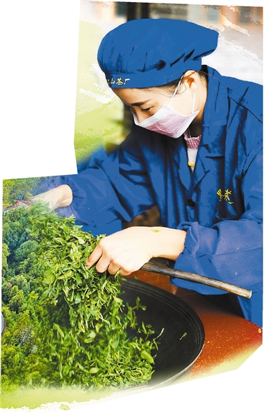 書寫這片葉子的新傳奇