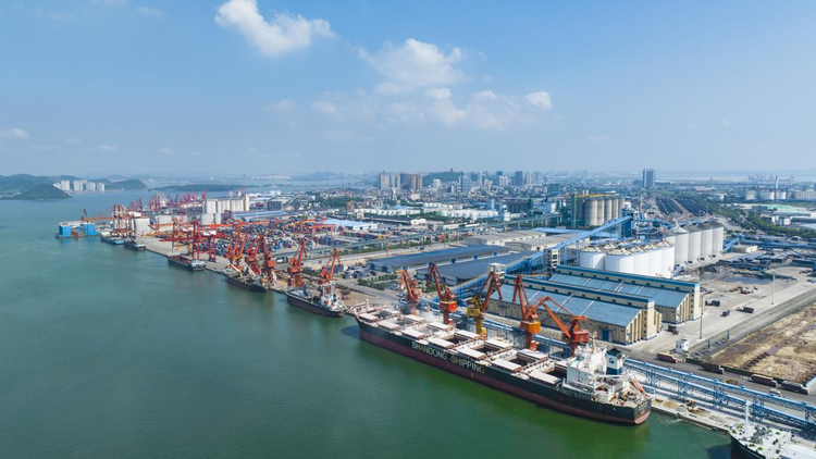 廣西構繪防城港經開區向海而興“路線圖”_fororder_圖片1