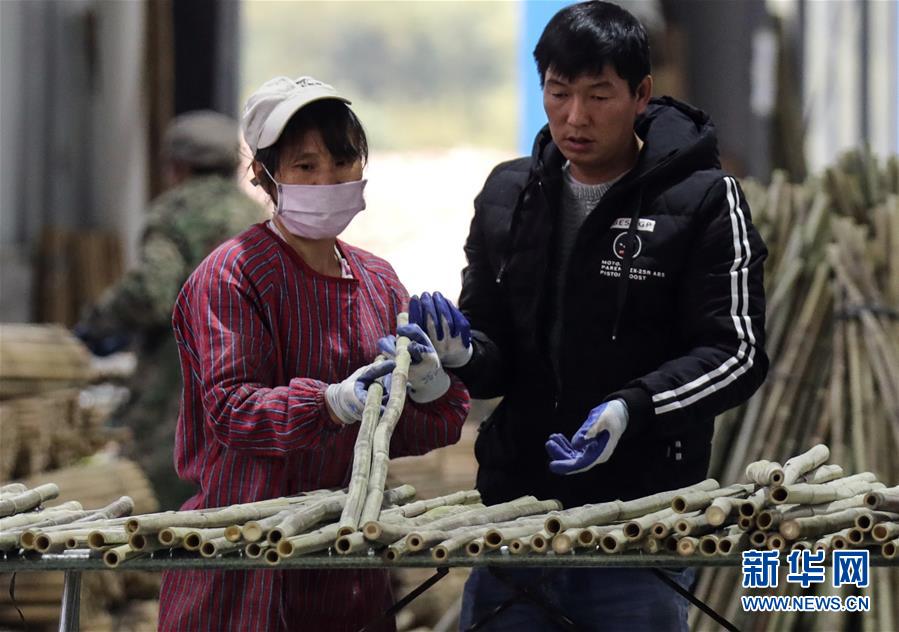 廣西融安：開發竹木制品拓寬脫貧路