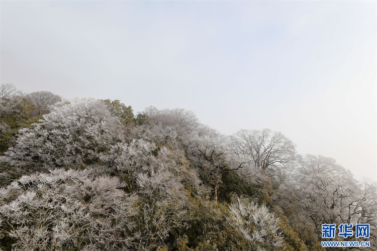 貴州梵凈山：春日雲海霧凇如畫卷