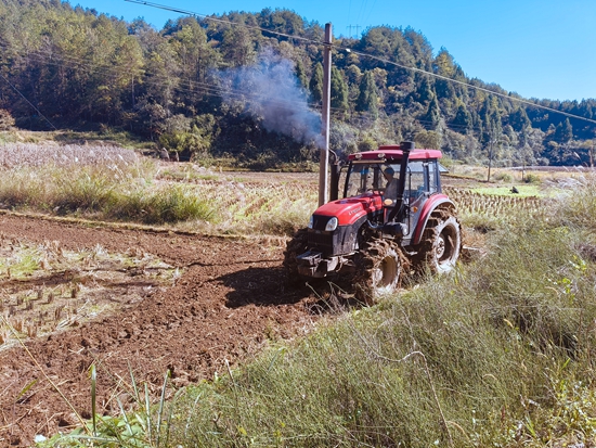 貴州施秉：萬畝土地實現“綠色過冬” 助力農民增産增收