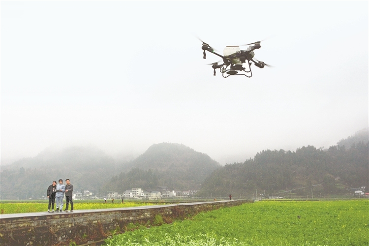 無人機施肥、智慧菇房……看貴州農業如何玩轉“黑科技”