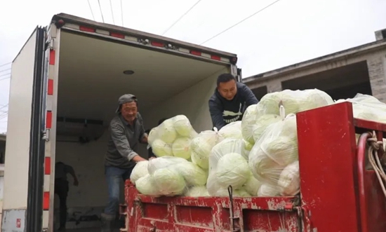 貴州六盤水市水城區：推進“校農結合” 讓新鮮蔬菜直上學生餐桌