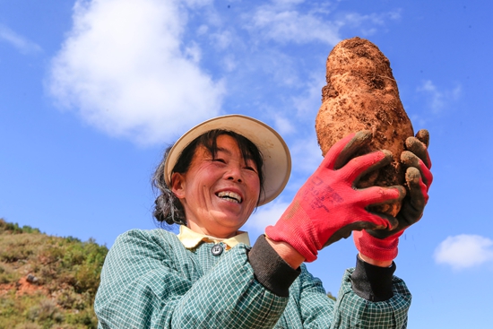 畢節市馬鈴薯産業高品質發展暨機械化生産培訓會在威寧自治縣舉辦