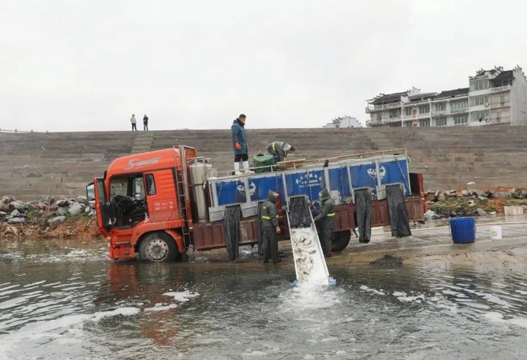 貴州天柱：生態漁業繪就 "清水魚躍" 新畫卷_fororder_640 (1)