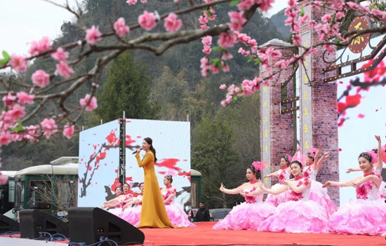 貴州荔波第二十屆梅花節拉開序幕 萬畝野生梅迎來賞花期