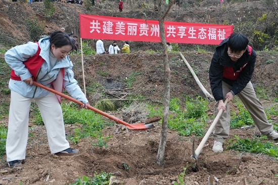 貴州鎮遠開展2025年義務植樹活動