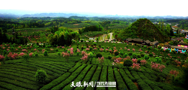 美麗貴州：以先行之姿繪山河畫卷