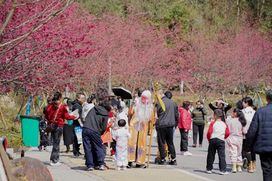 貴州都勻：600畝櫻花盛放 市民遊客共赴“花海之約”_fororder_640 (2)