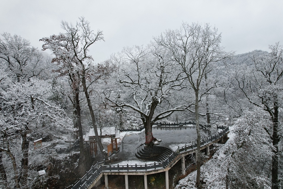 貴州鎮遠迎來2025年初雪