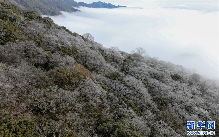 貴州梵凈山：春日雲海霧凇如畫卷