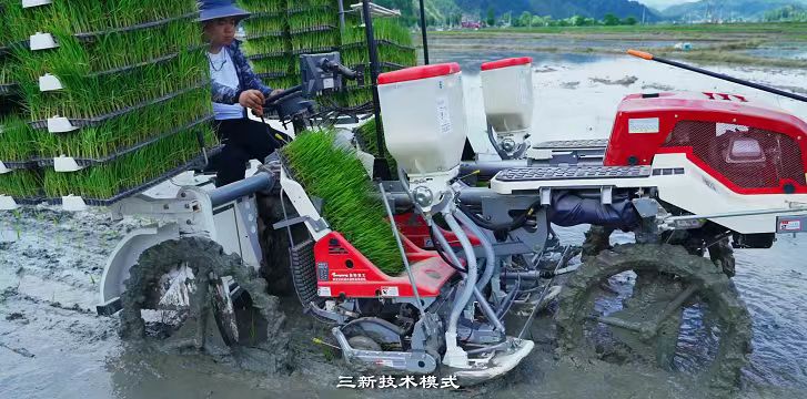 從黔地田野出發，看貴州如何奏響鄉村振興“最強音”