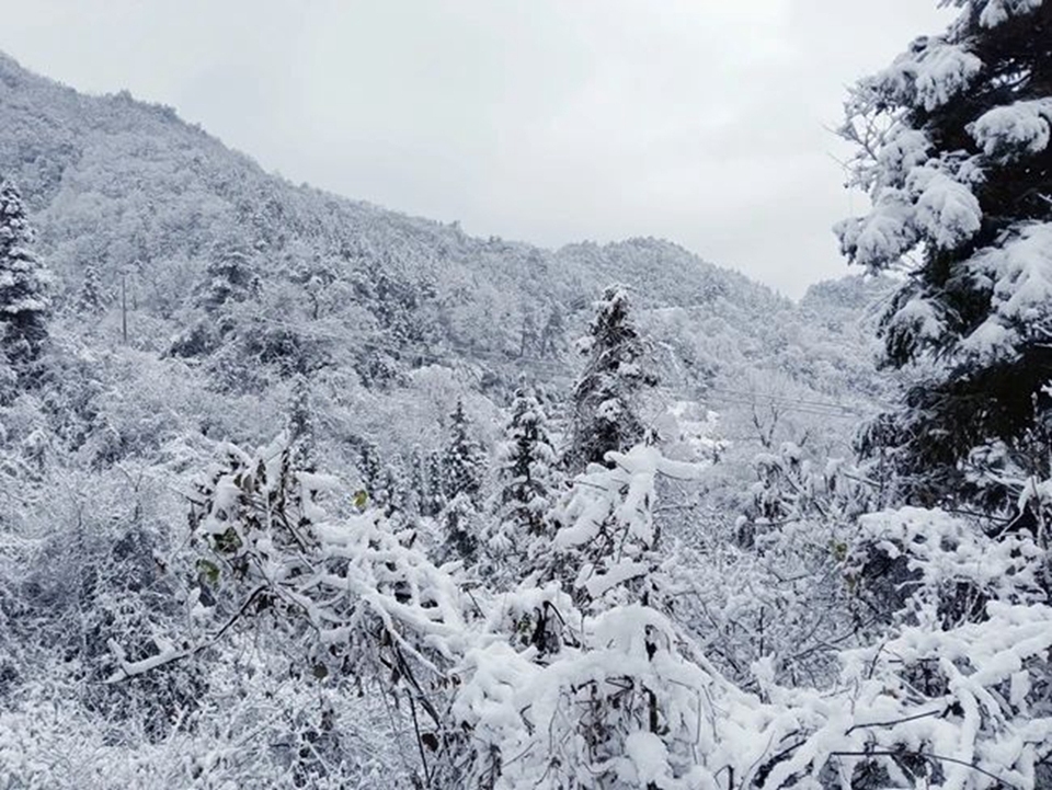 貴州鎮遠迎來2025年初雪