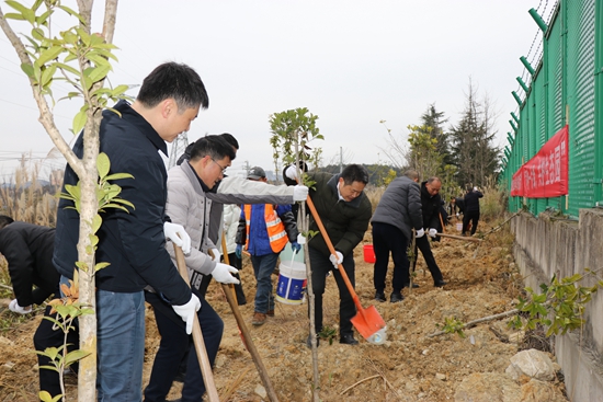 貴陽綜保區開展2025年春季義務植樹活動