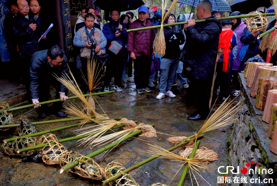 貴州丹寨：苗族同胞身著盛裝 載歌載舞歡慶“祭尤節”