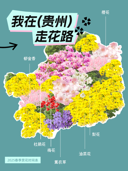 貴州花海打卡指南