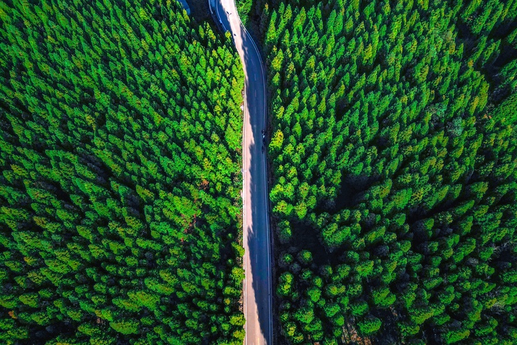 走進貴陽靛山村 初冬探秘這片“暮光森林”