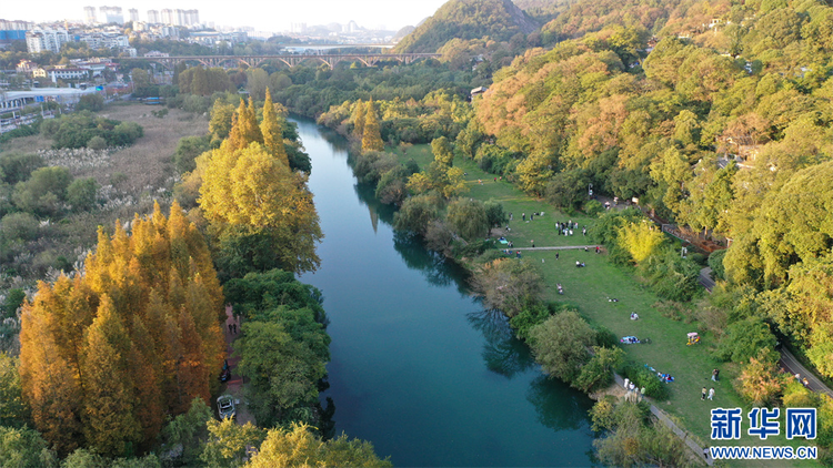 貴陽花溪：城市濕地秋意濃