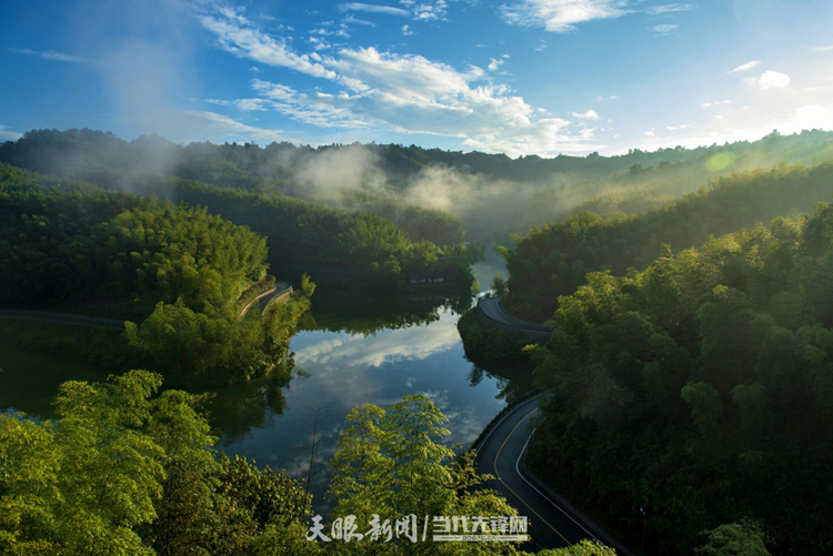 十一載“春天之約” ！貴州“生態綠”綻放“金銀花”